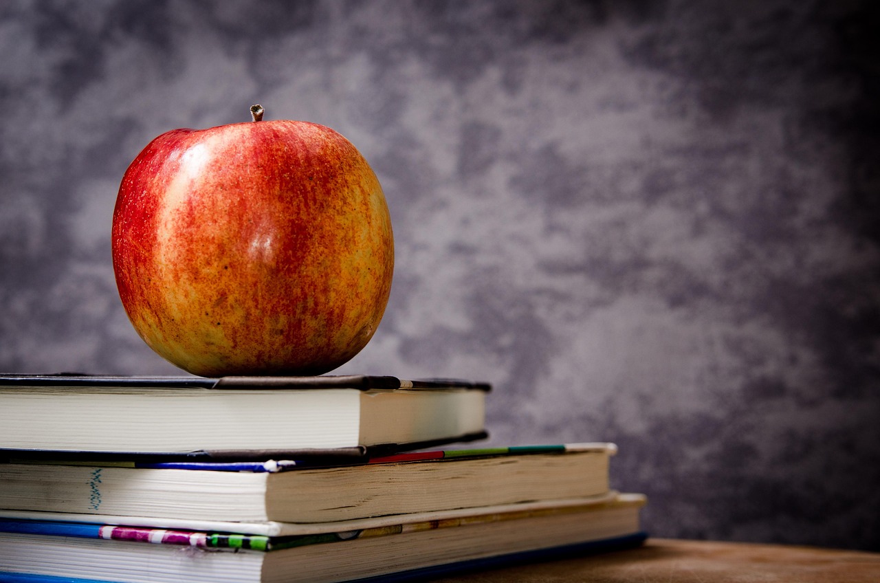 découvrez nos offres de rentrée exclusives ! profitez de réductions sur une large sélection d'articles pour bien préparer la reprise de l'école. bons plans à ne pas manquer pour petits et grands.