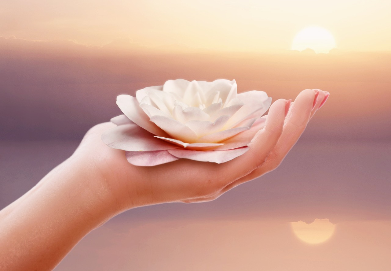 réservez vos prochaines vacances à prix réduit grâce à nos vacation vouchers ! profitez d'offres exclusives et de remises immédiates sur une large sélection de destinations. idéal pour voyager moins cher tout au long de l'année.