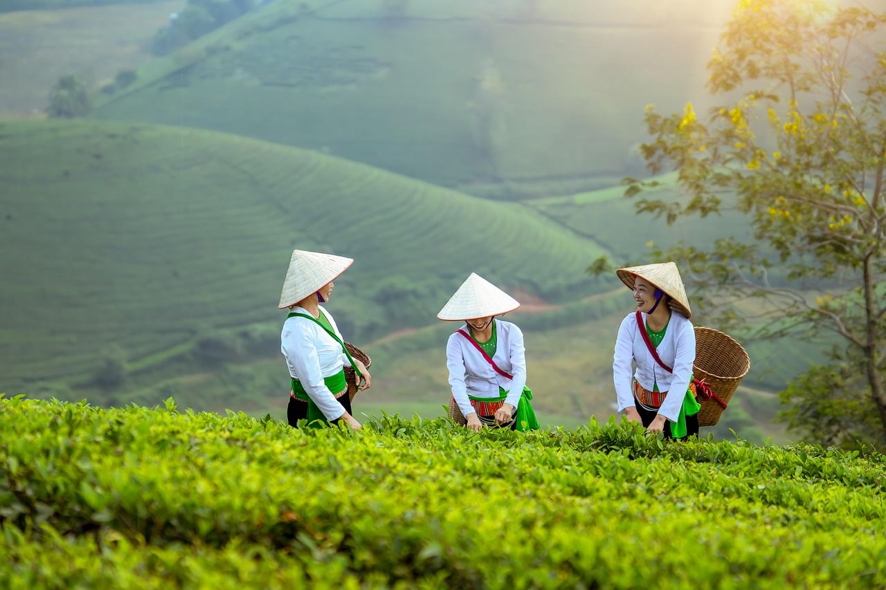 découvrez l'univers de l'entrepreneuriat féminin : inspirations, conseils et ressources pour aider les femmes à lancer et développer leur entreprise avec succès.