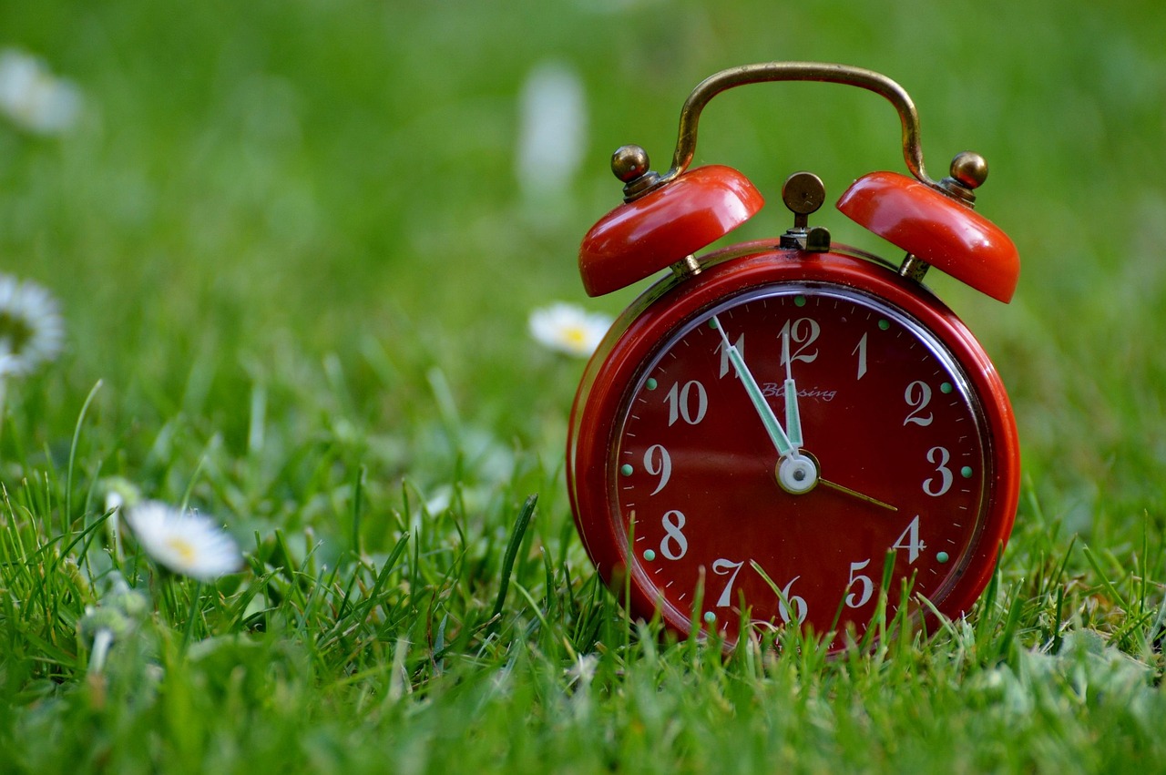 découvrez les horaires d'ouverture de nos services pour mieux planifier votre visite. consultez nos heures d'accueil actualisées et profitez d'une organisation optimale.