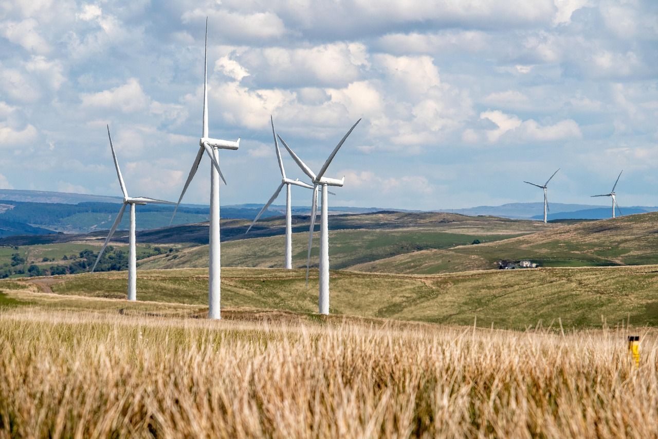 découvrez l'entrepreneuriat durable : des stratégies innovantes pour créer et développer des entreprises responsables qui respectent l'environnement, favorisent l'inclusion sociale et s'engagent pour un avenir meilleur.