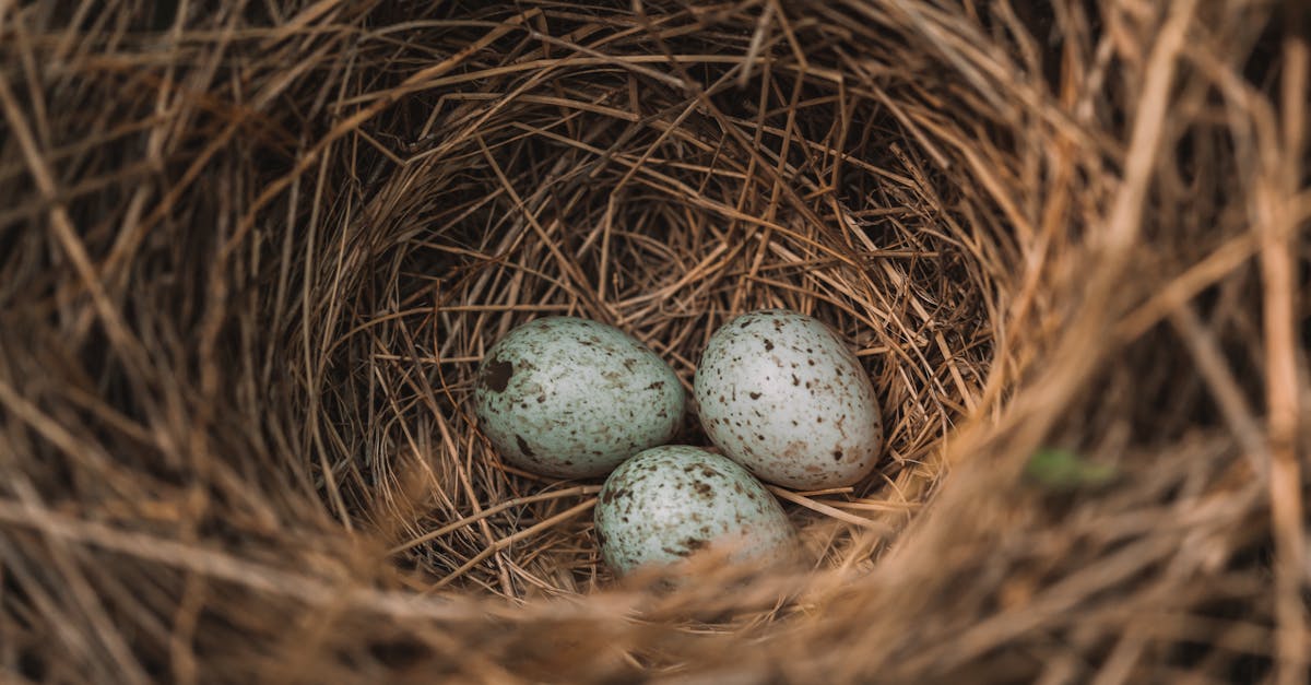 Soutien aux startups : comment les incubateurs boostent l’innovation