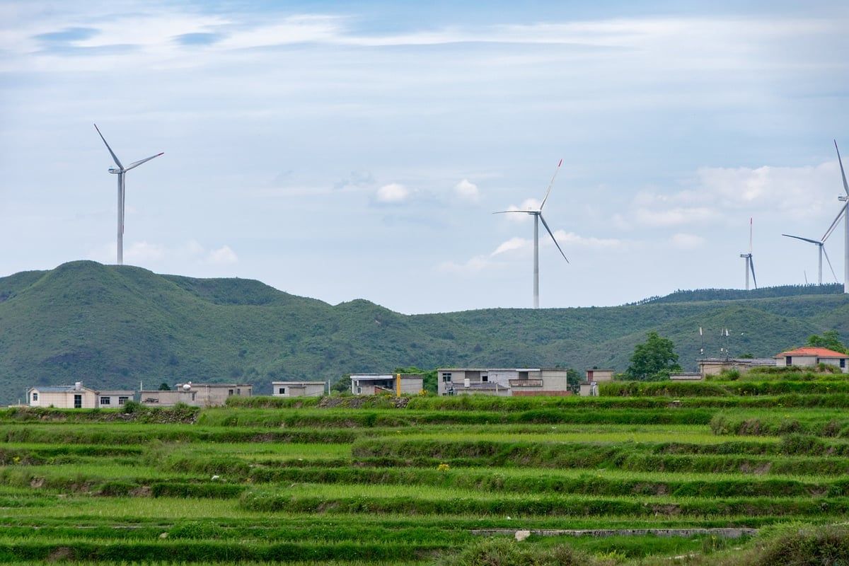 Investir dans le développement durable : un choix gagnant