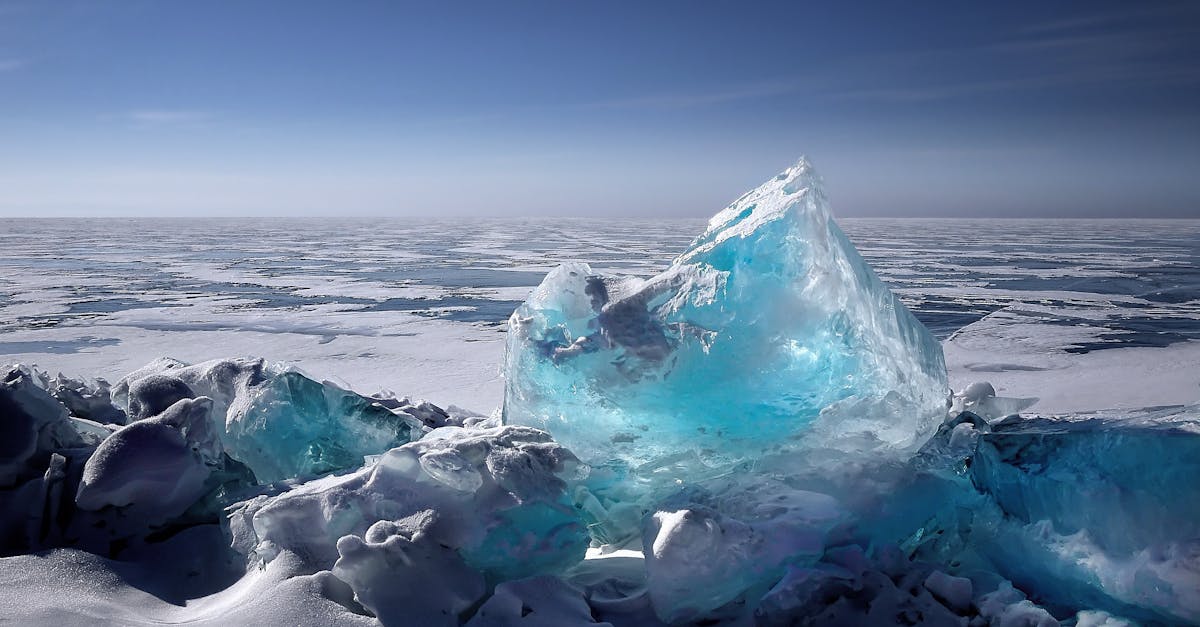 Les impacts du changement climatique sur les stratégies marketing