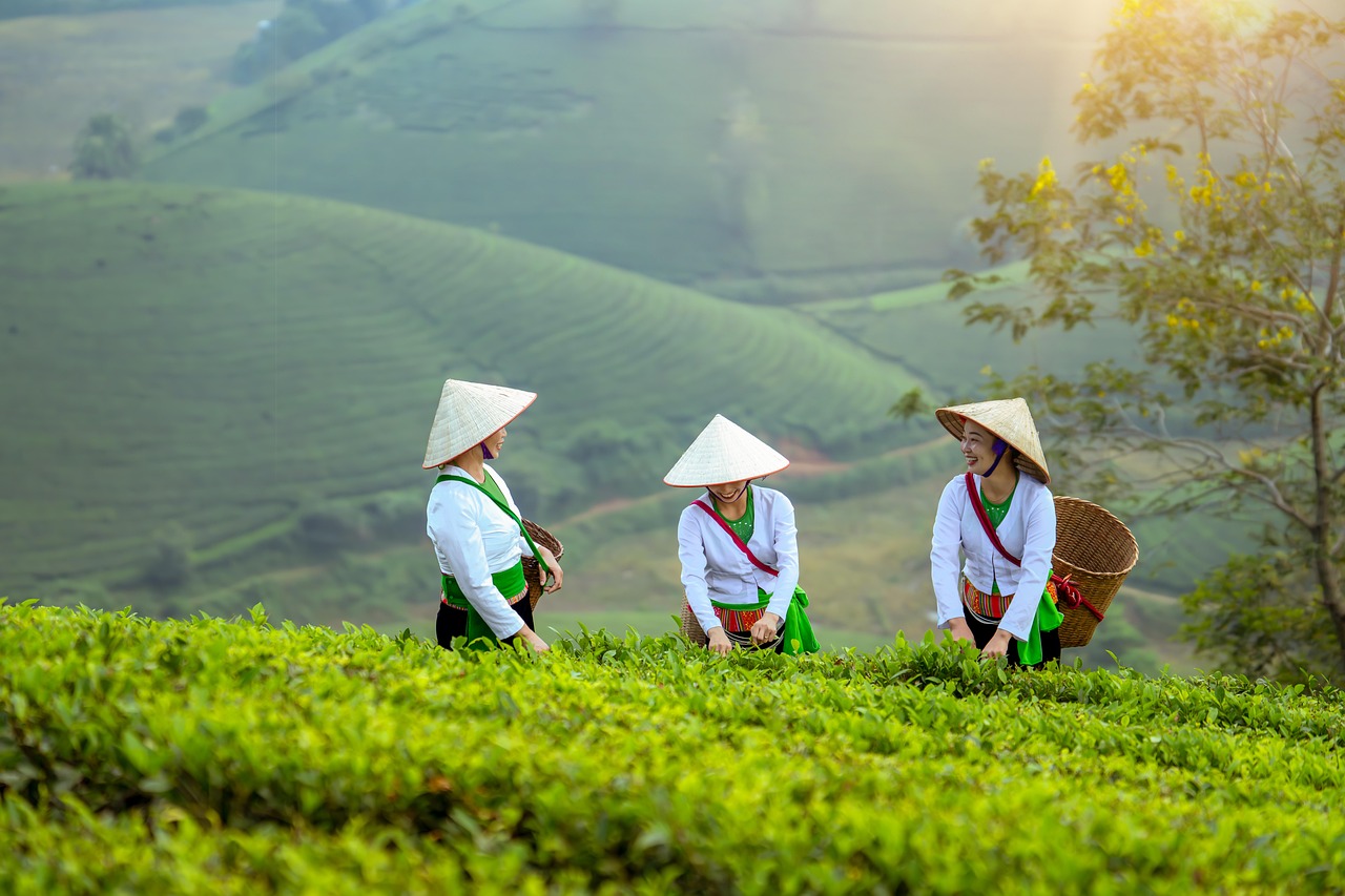 Ticket Camp soutient l’entrepreneuriat des jeunes femmes en milieu rural