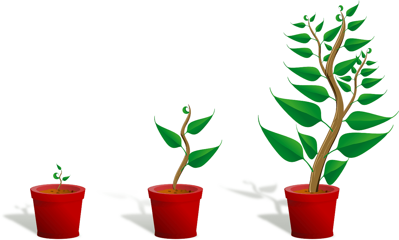 Les stratégies de croissance pour les start-ups