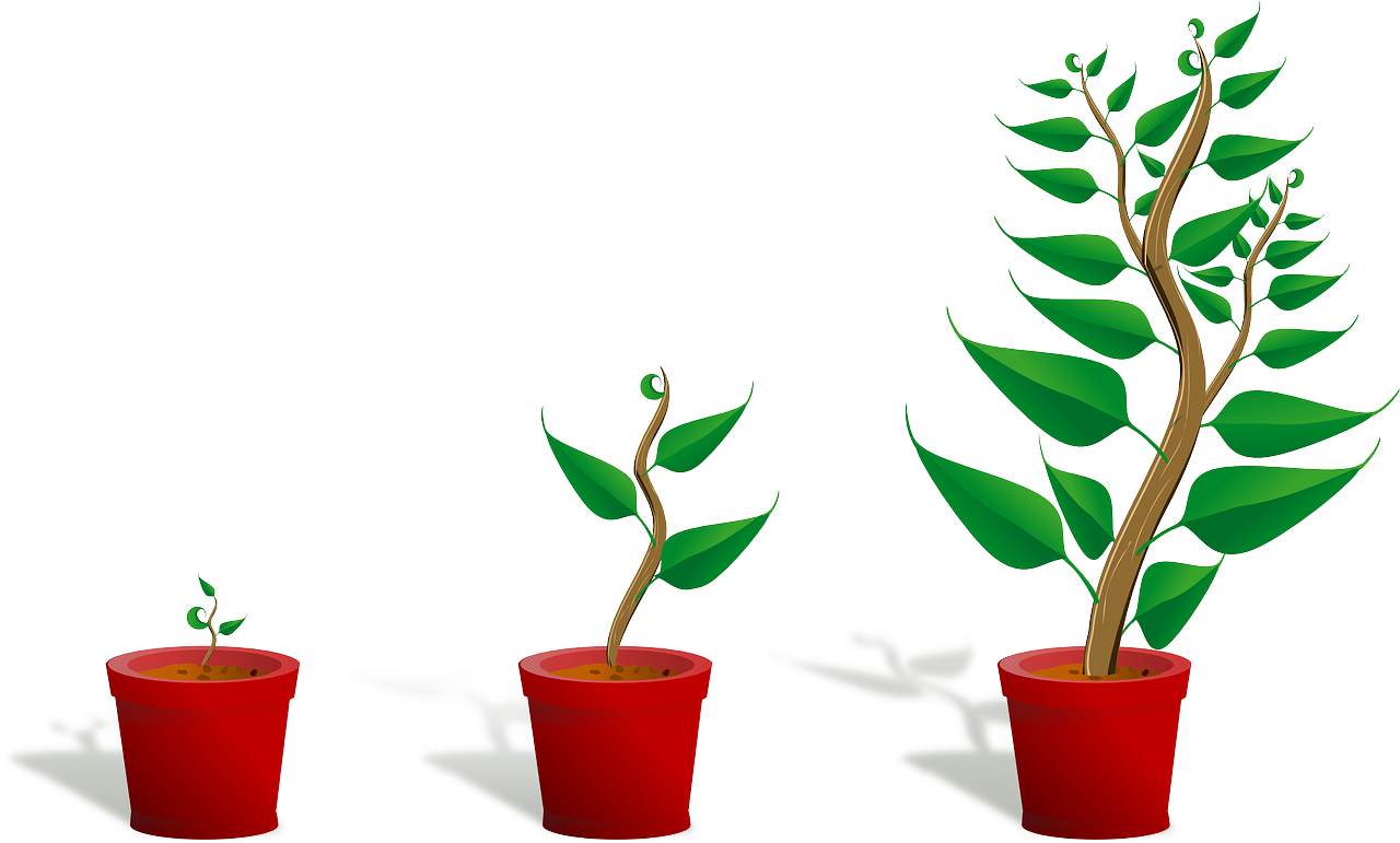 Les stratégies de croissance pour les start-ups