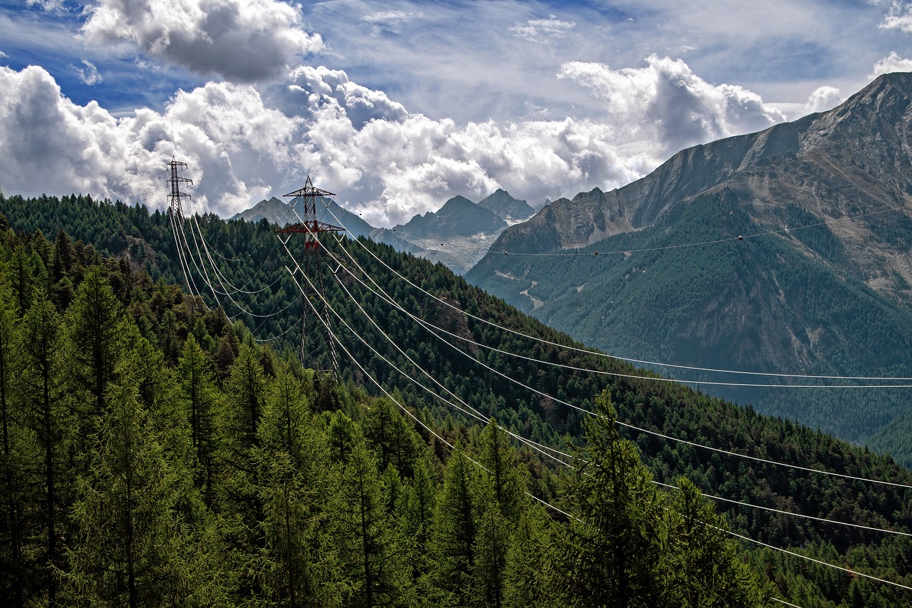 découvrez les impacts environnementaux des activités humaines et leur influence sur notre planète. explorez des solutions durables pour préserver la biodiversité et réduire notre empreinte écologique.