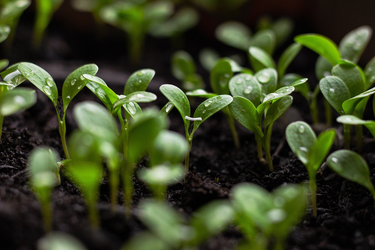 découvrez l'investissement durable, une approche qui allie performance financière et impact positif sur l'environnement et la société. transformez votre portefeuille en soutenant des entreprises et des projets qui favorisent la durabilité et la responsabilité sociale.