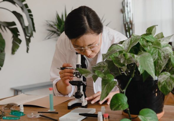 découvrez le monde fascinant de l'expérimentation, où la curiosité se transforme en découvertes scientifiques. explorez des méthodes innovantes, des résultats surprenants et l'importance de l'expérimentation dans la recherche et le développement.