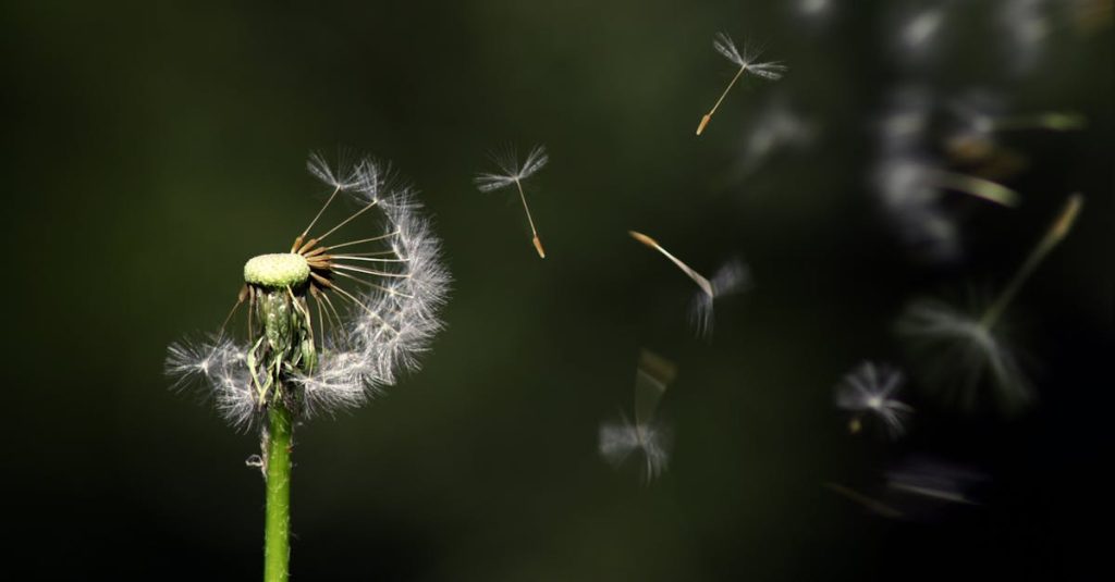 découvrez les stratégies essentielles pour favoriser la croissance personnelle et professionnelle. explorez des concepts innovants, des conseils pratiques et des études de cas pour accompagner votre développement et atteindre vos objectifs.