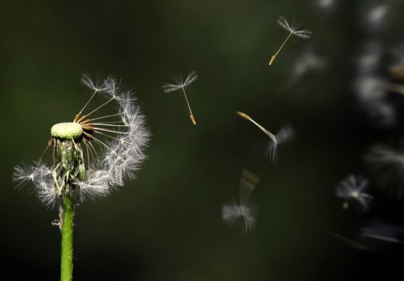 découvrez les stratégies essentielles pour favoriser la croissance personnelle et professionnelle. explorez des concepts innovants, des conseils pratiques et des études de cas pour accompagner votre développement et atteindre vos objectifs.