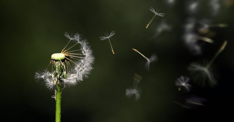 découvrez les stratégies essentielles pour favoriser la croissance personnelle et professionnelle. explorez des concepts innovants, des conseils pratiques et des études de cas pour accompagner votre développement et atteindre vos objectifs.