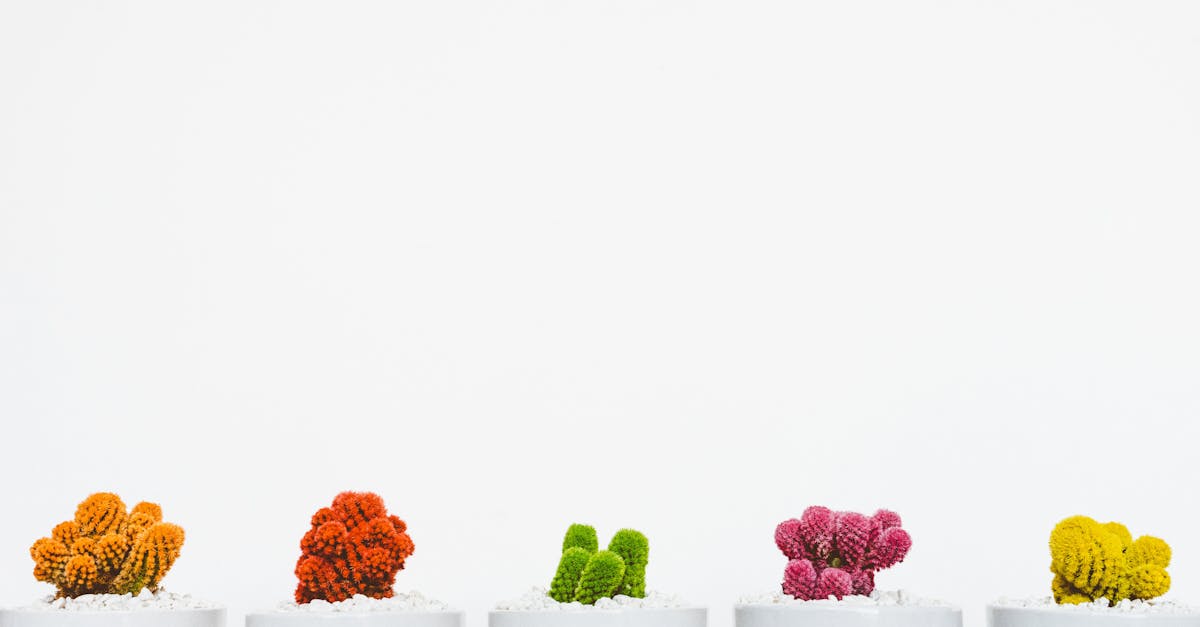 découvrez comment stimuler la croissance de votre entreprise grâce à des stratégies efficaces, des conseils pratiques et des outils innovants. apprenez à maximiser votre potentiel et à atteindre vos objectifs de développement durable.