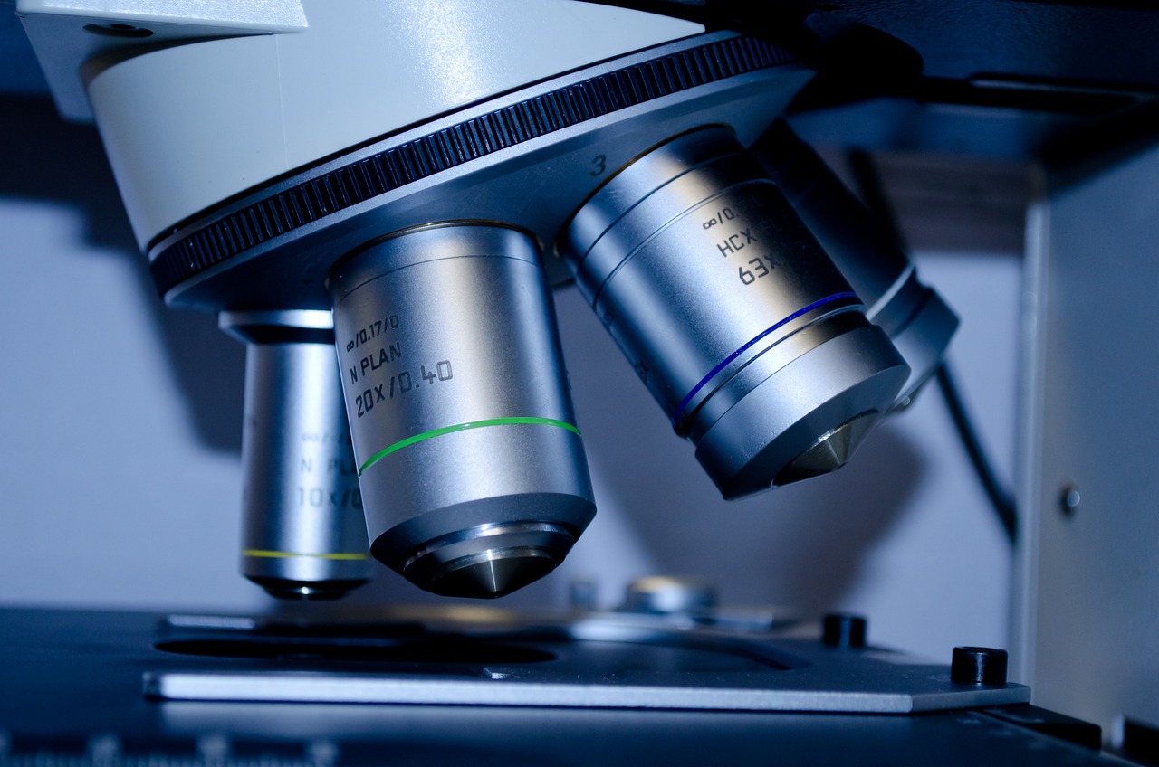 découvrez l'approche scientifique, une méthode rigoureuse et systématique qui permet d'explorer et de comprendre le monde à travers l'observation, l'expérimentation et l'analyse raisonnée. plongez dans les principes et les applications de cette démarche essentielle pour l'innovation et la recherche.