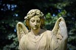 découvrez le monde des investisseurs privés et des business angels, qui soutiennent les start-ups et les entrepreneurs. apprenez comment ces investisseurs stratégiques peuvent propulser vos projets et favoriser l'innovation.