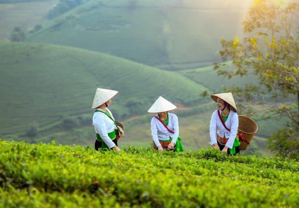 découvrez l'univers passionnant de l'entrepreneuriat féminin. inspirez-vous des parcours de femmes audacieuses qui transforment leurs idées en succès. rejoignez une communauté dynamique et apprenez comment surmonter les défis, innover et réaliser vos ambitions professionnelles.