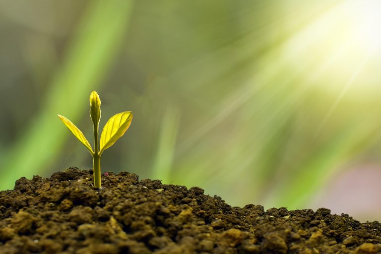 découvrez les solutions de growth financing pour soutenir la croissance rapide de votre entreprise : stratégies, avantages et conseils pour optimiser vos levées de fonds et accélérer votre développement.