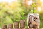 découvrez tout sur l'investissement : conseils, stratégies, types d'investissements et astuces pour optimiser votre portefeuille et faire fructifier votre capital.