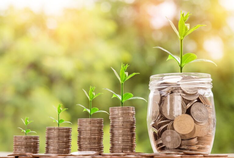 découvrez tout sur l'investissement : conseils, stratégies, types d'investissements et astuces pour optimiser votre portefeuille et faire fructifier votre capital.
