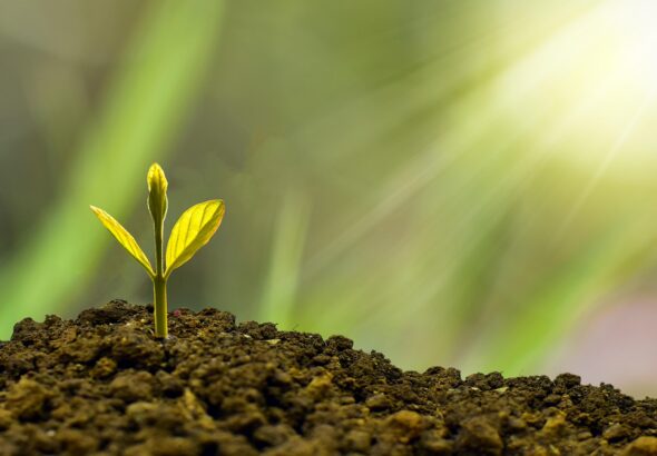 découvrez les clés du succès et les meilleures stratégies pour atteindre vos objectifs, surmonter les obstacles et réaliser vos ambitions personnelles et professionnelles.