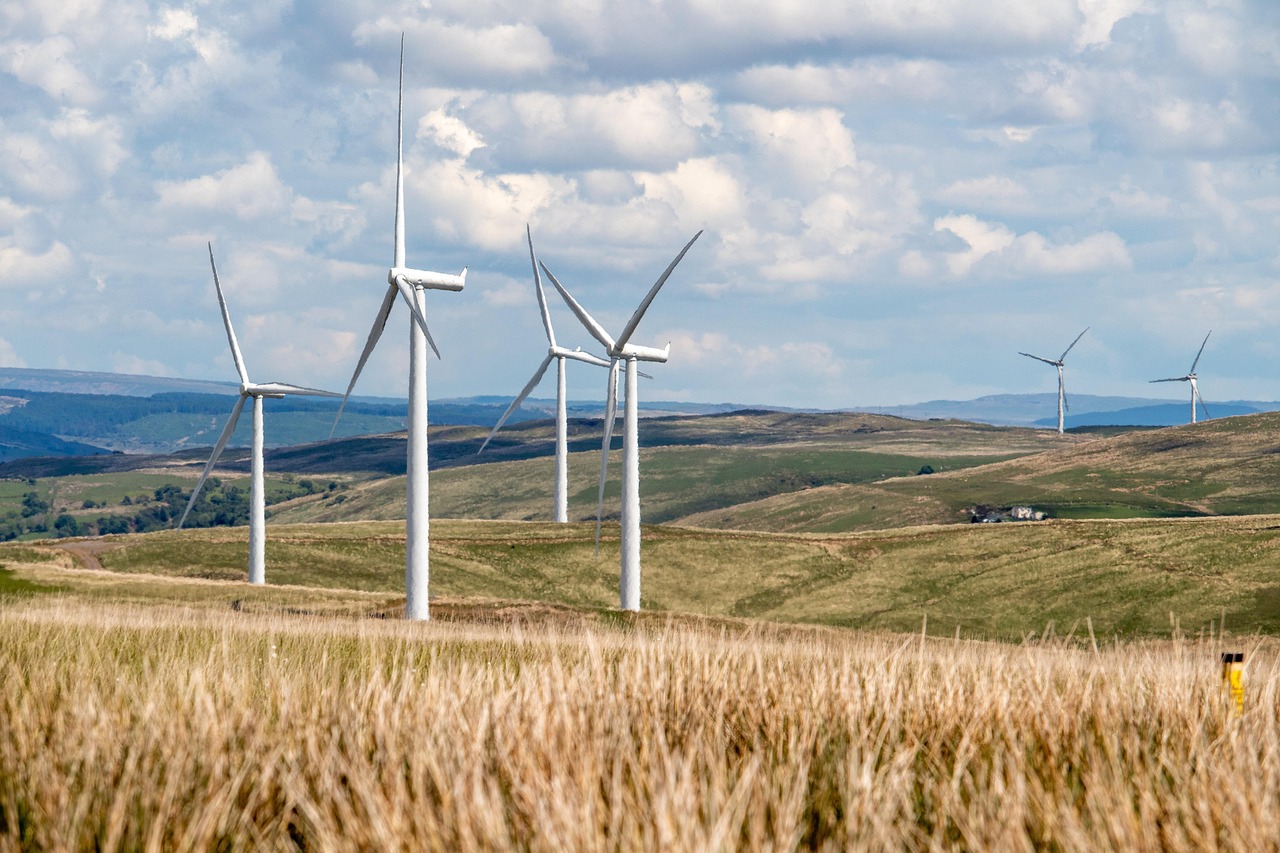 découvrez l'entrepreneuriat durable : des stratégies innovantes pour créer et développer des entreprises responsables qui respectent l'environnement, favorisent l'inclusion sociale et s'engagent pour un avenir meilleur.
