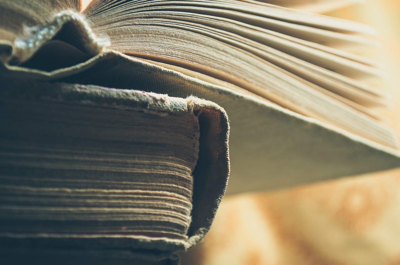 découvrez le concept de venture stack : une approche innovante pour structurer, financer et faire croître des startups grâce à la combinaison de technologies, de ressources et de stratégies adaptées à chaque projet entrepreneurial.