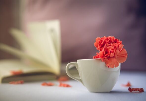 g97cfce998017432f7539102ec379d51bc890a58a27e4c3b608cdd16a640ced3f1eb0fda18794036060e26827b5131c12_640